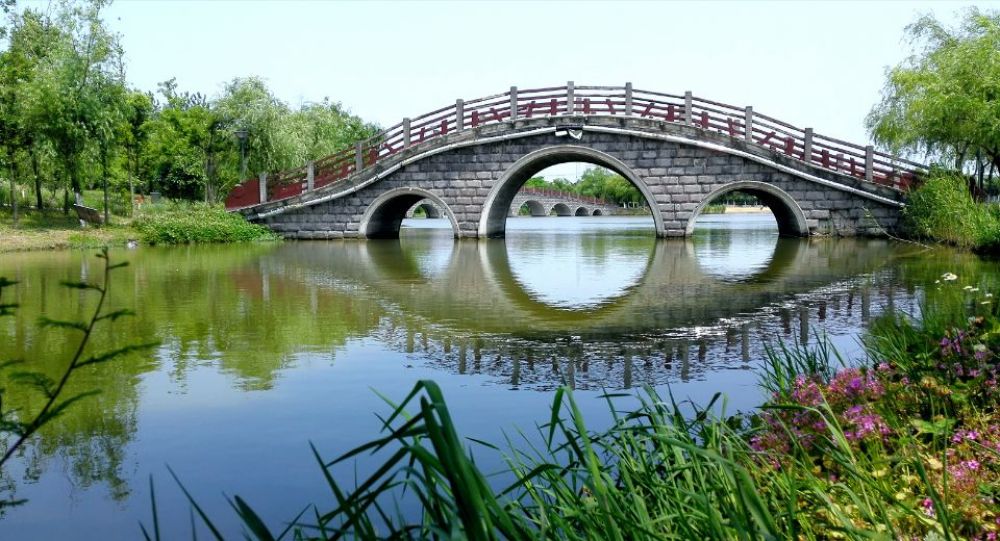 浦东金海湿地公园景点图片