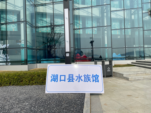 九江网站制作行业动态：抓住机遇与挑战