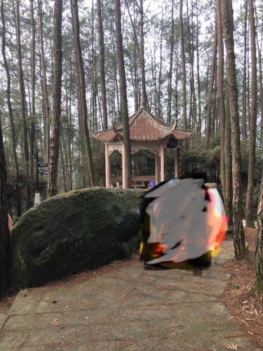 犀牛山旅行图片 1