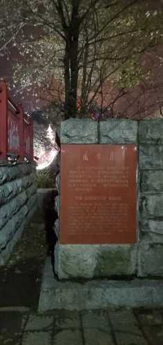 英雄山铁索桥旅行图片 1