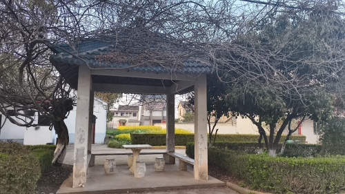 长梗公园