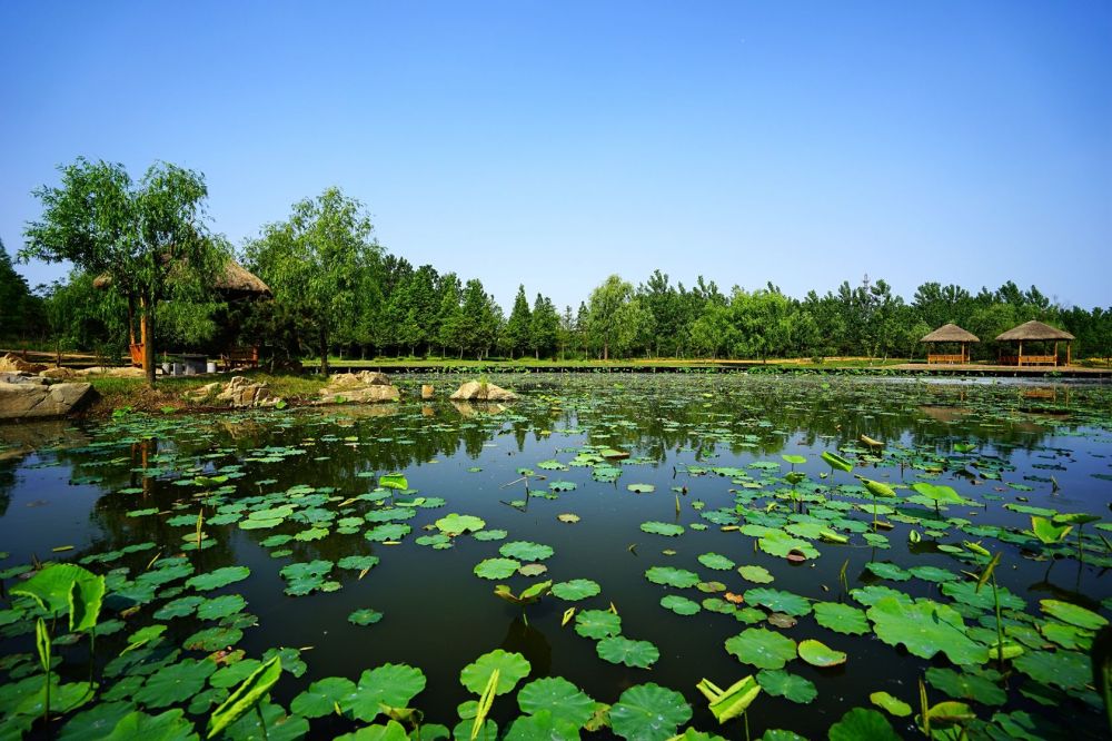 日照海滨国家森林公园景点图片