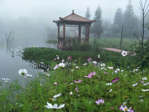 仙池纳里天池湿地公园旅行图片 2