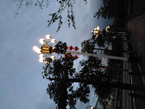 发展公园旅行图片 2