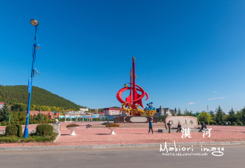 阿木尔中国野生蓝莓之乡旅行图片 1