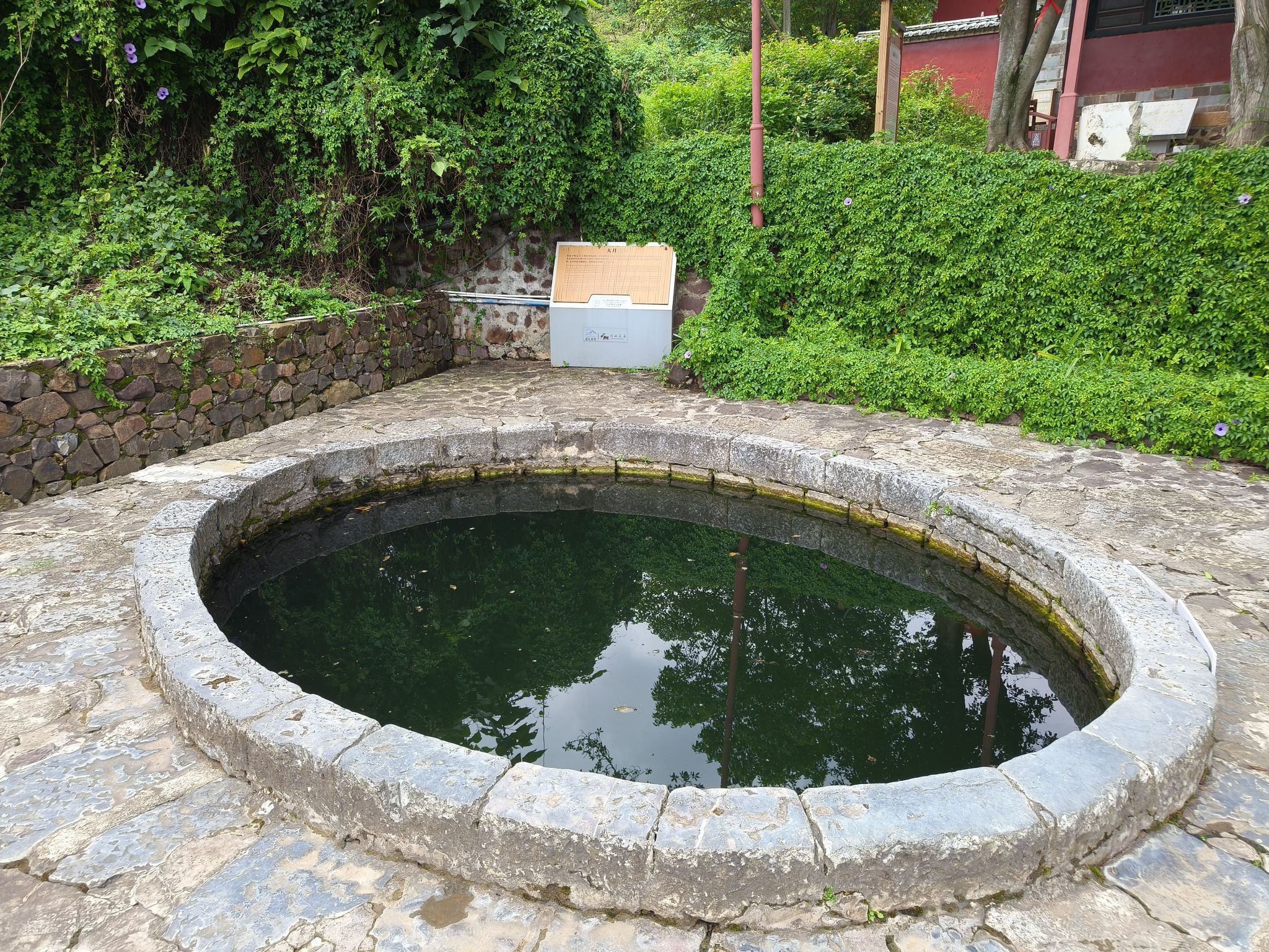 大成寺古井实景照片