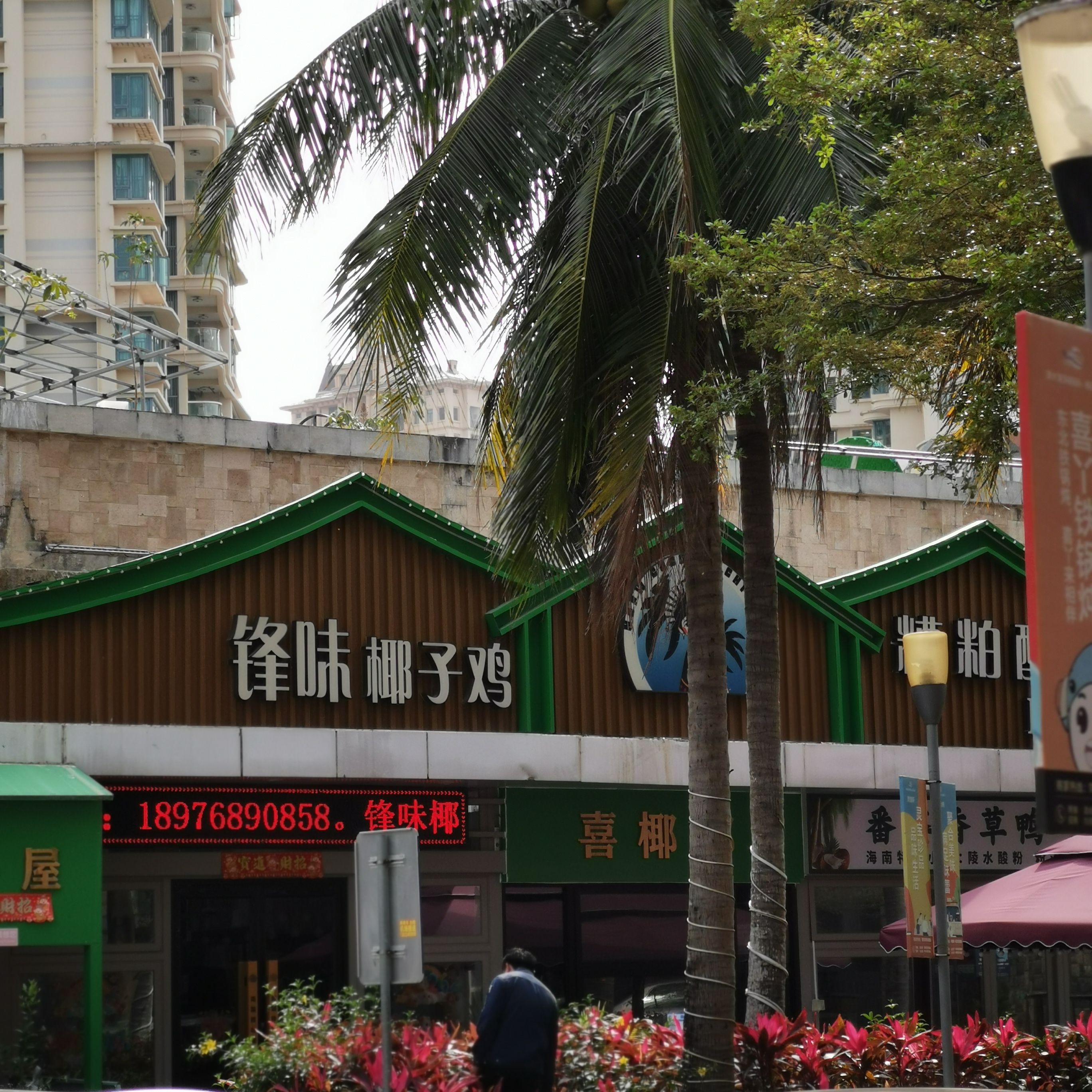 锋味椰子鸡·糟粕醋(游艇小镇店)