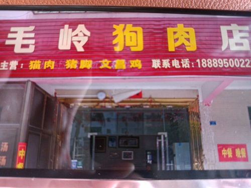 毛岭狗肉店
