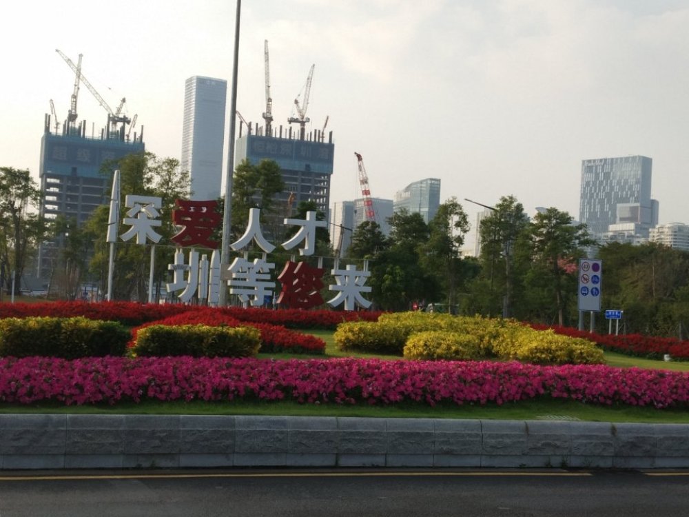 深圳人才公园景点图片