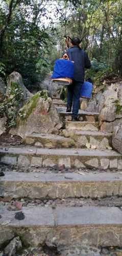 大人山公园旅行图片 2