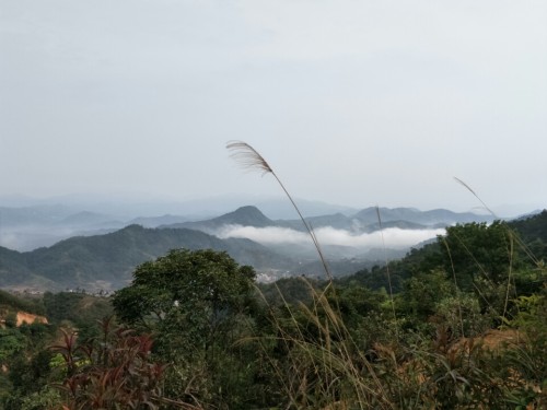 世外桃源森林公园旅行图片 1