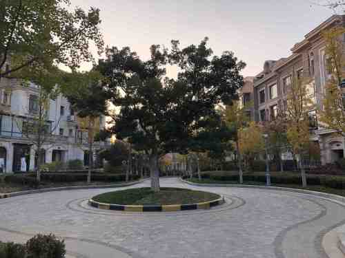 明珠公园旅行图片 3