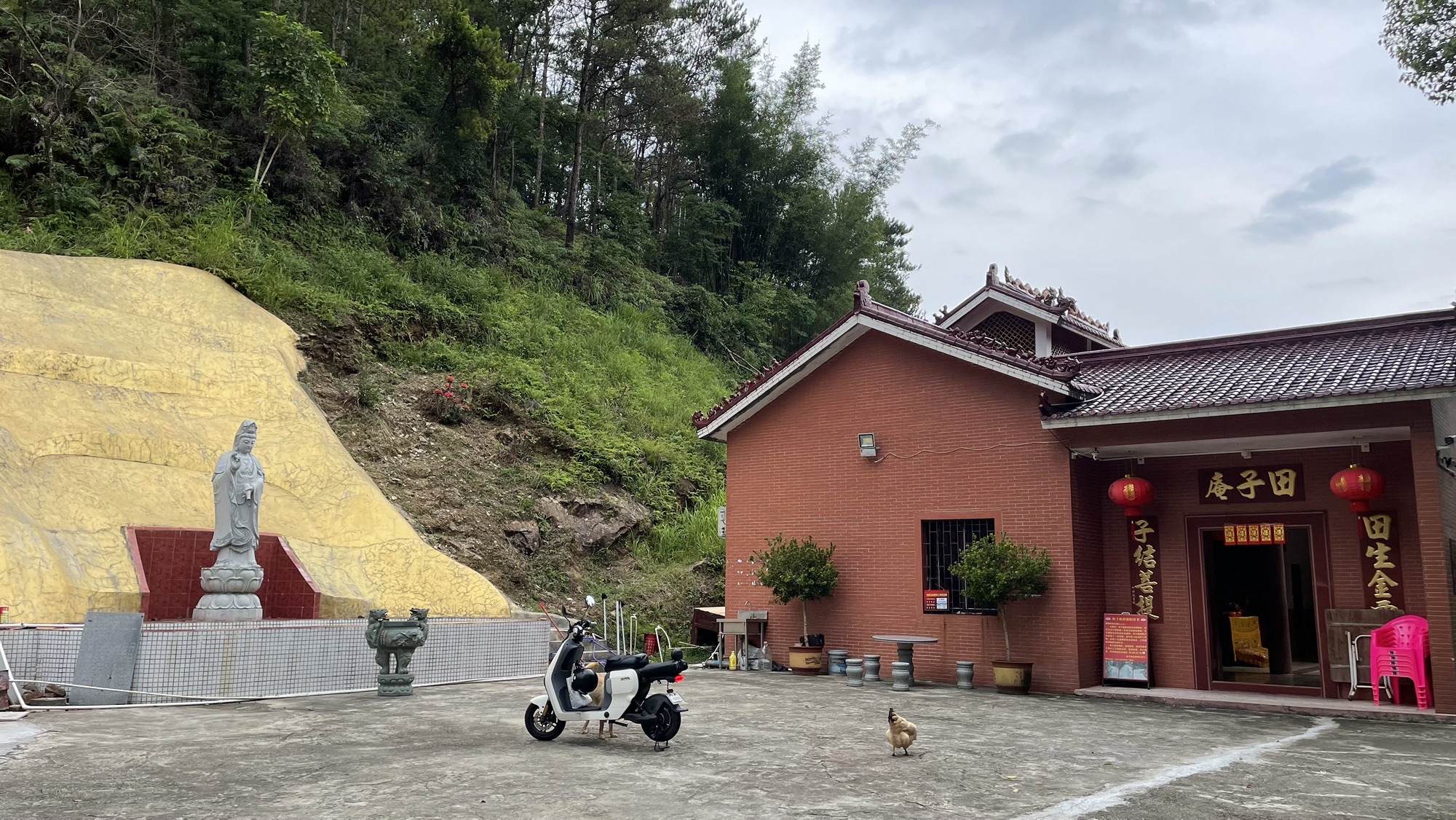 田子庵实景照片