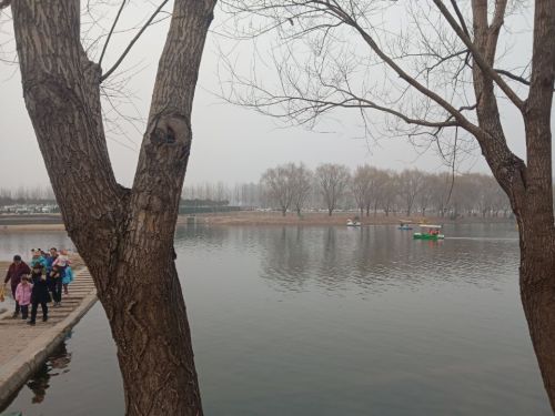 鸡龙河湿地公园旅行图片 3
