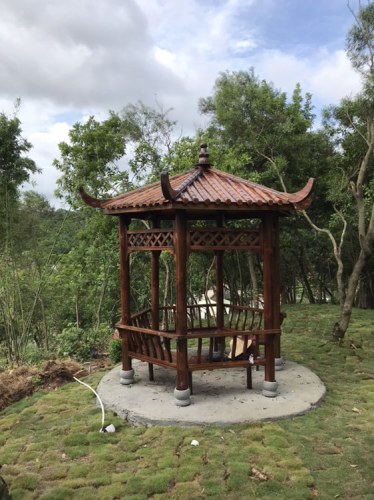 东岭龟山公园旅行图片 1