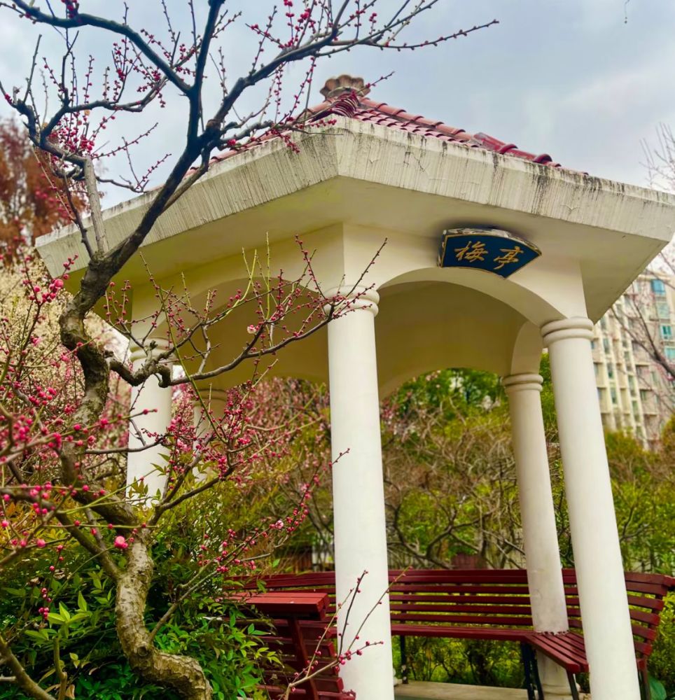 梅川广场景点图片