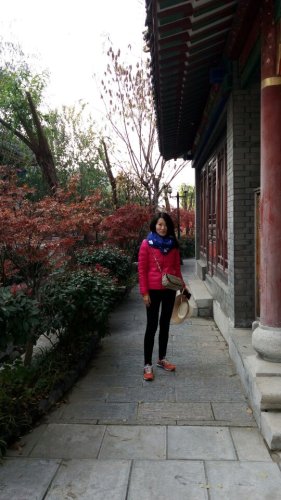 微山湖红荷水镇旅行图片 3