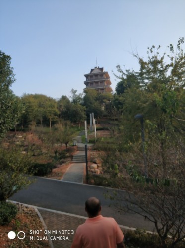 金西峙垅湖公园旅行图片 3