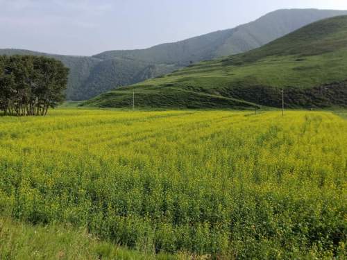 百花谷旅行图片 2