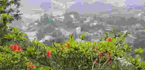 元宝梯田观景平台旅行图片 1