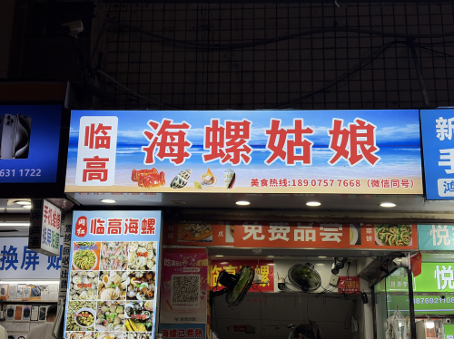 临高海螺姑娘