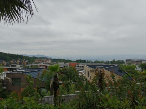 云岭广场旅行图片 1