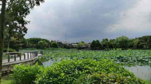 春风公园旅行图片 2
