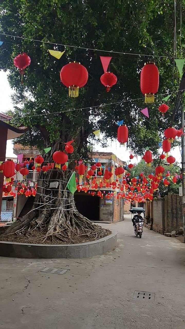 前街鄉厉壇庙实景照片