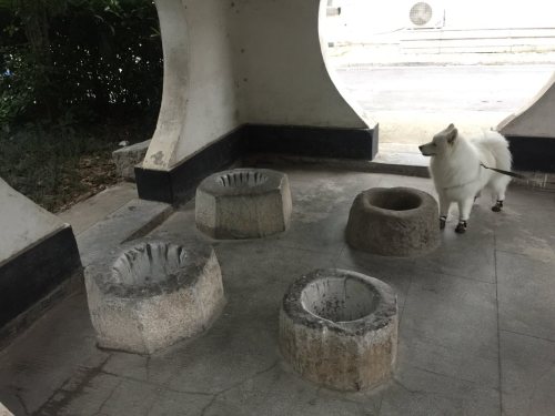 四眼井旅行图片 1