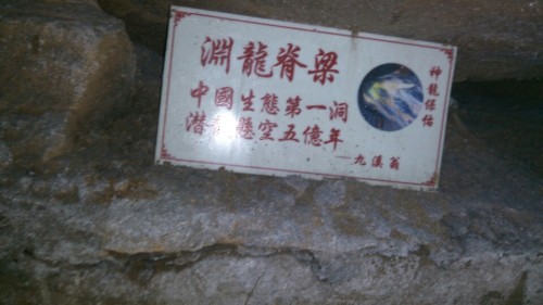 神龙洞旅行图片 1
