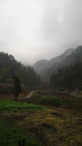 杨坪河坎生态区旅行图片 2