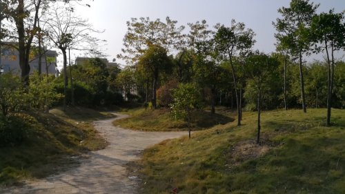 林惠山广场旅行图片 3