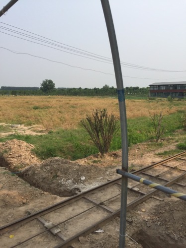 昌润致中和有机农场旅行图片 1