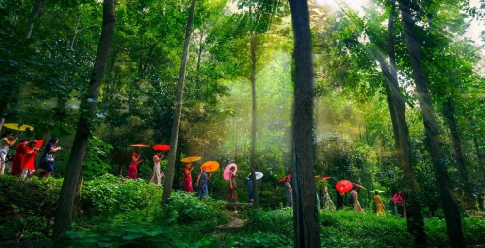 乌龙溪景区景点图片