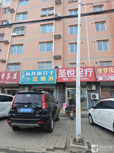 圣悦足疗(金辉·花园店)