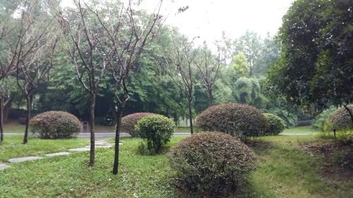南河公园旅行图片 1