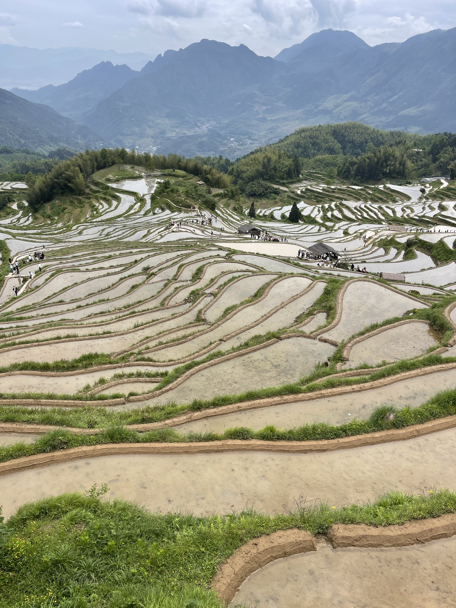 云和梯田国家湿地公园
