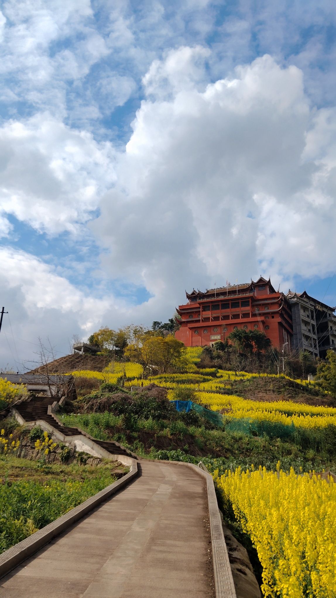 醒悟寺实景照片
