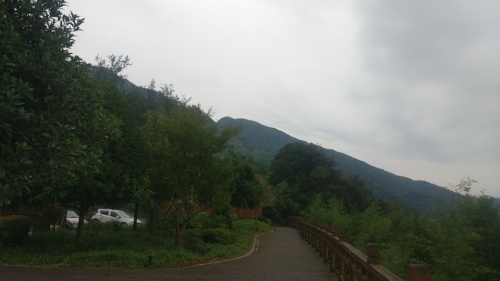 向峨乡石花观景台旅行图片 2