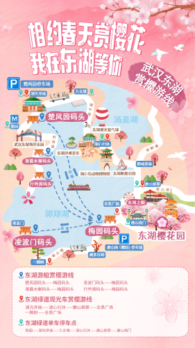 东湖樱花园现场照片 5