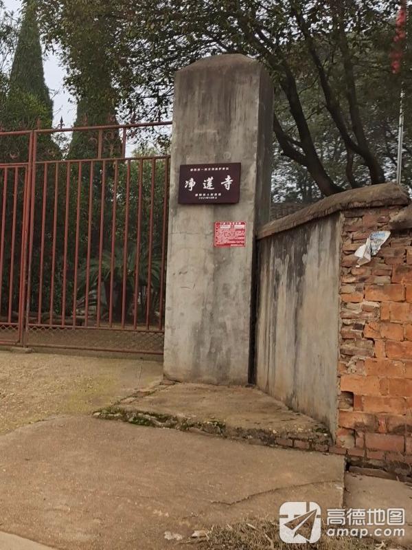 净莲寺实景照片