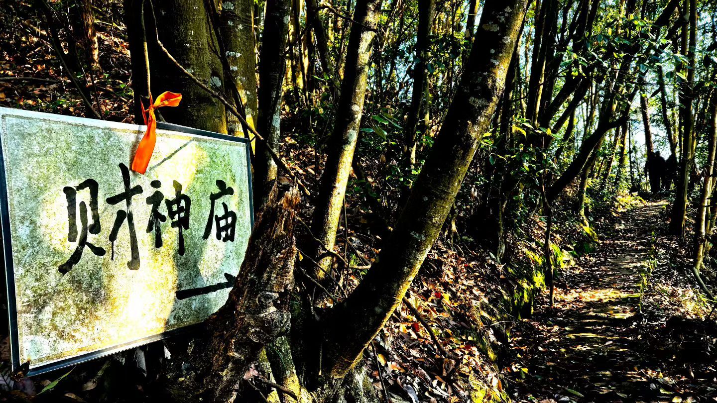 财神庙实景照片