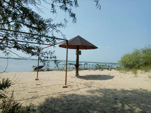 滨江湿地金沙滩风景区旅行图片 3