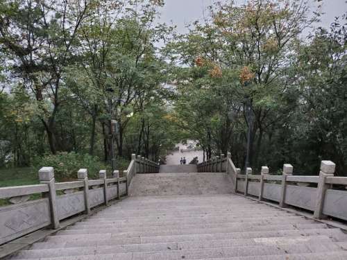 虹蛘公园旅行图片 1
