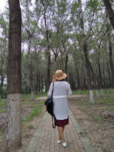 都乐园旅行图片 3