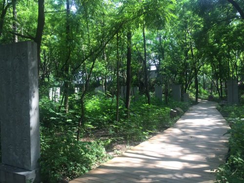 大孤山旅行图片 1