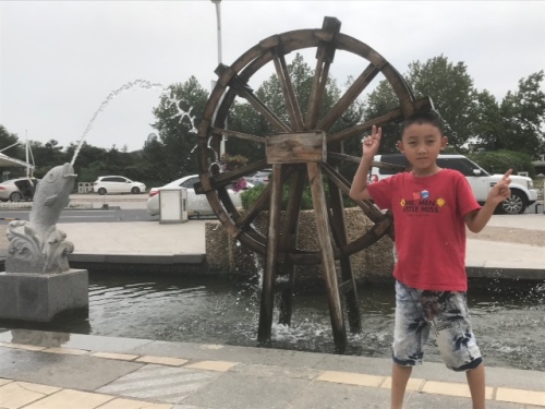 樱苍林旅行图片 3