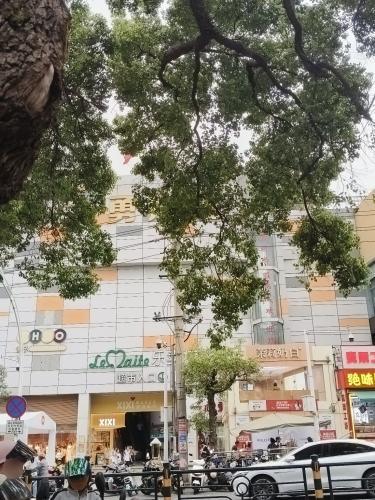 成泰商业城(儋州大勇步行街店)