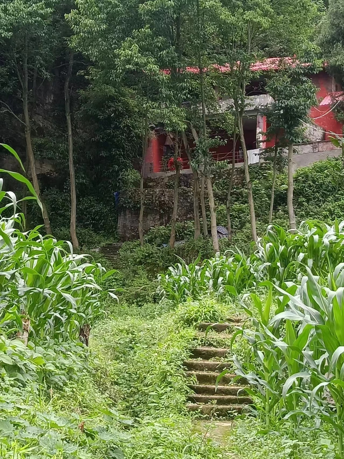 观音洞寺实景照片