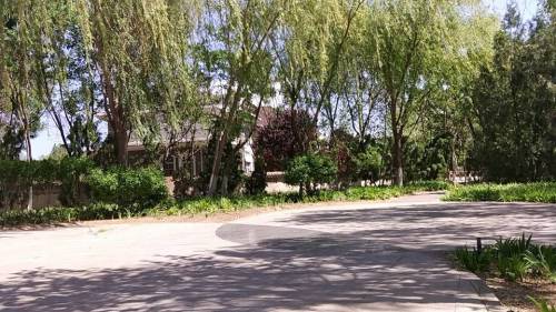 西红门九龙口休闲公园旅行图片 3